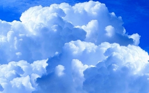 561